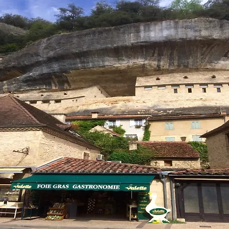 アパート In The Dordogne With Shared Pool